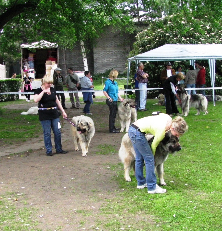 Babsy na výstavě 22.05.2010 3.JPG